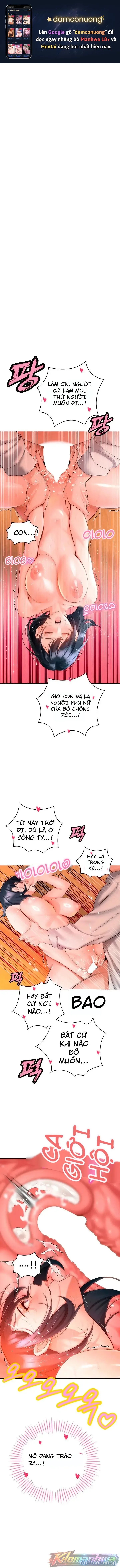 Bố chồng càn quét tất cả 
