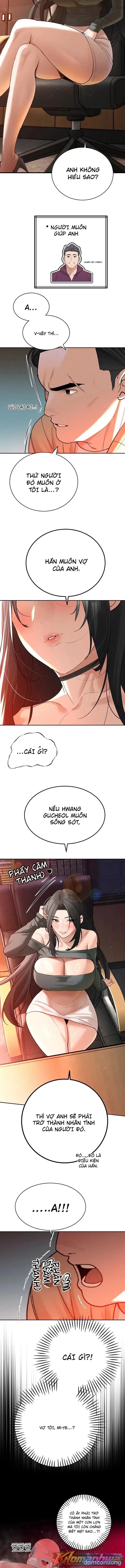 Bố chồng càn quét tất cả 