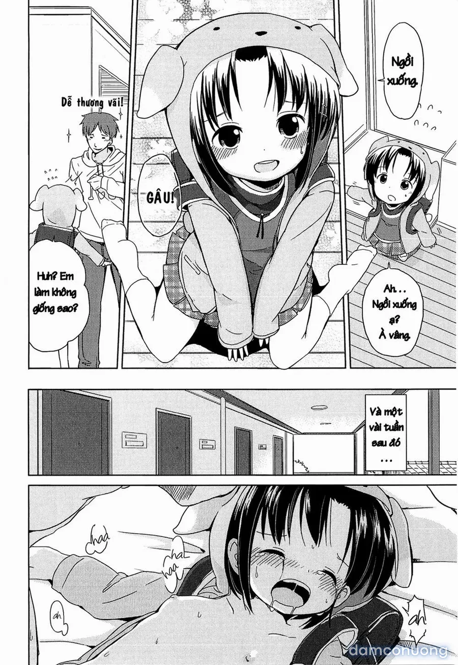 Wan Wan Friends 