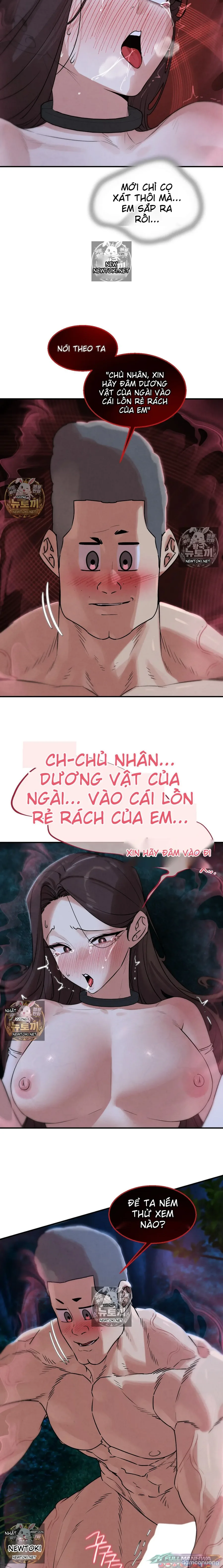 AI Dịch - Trò Chơi Mạo Hiểm 