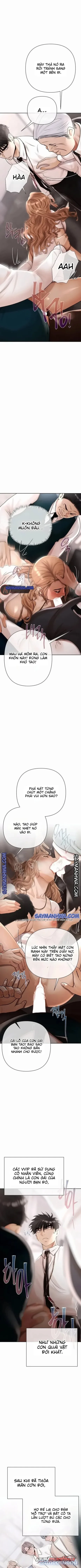 AI Dịch - Trò chơi kim tiền 
