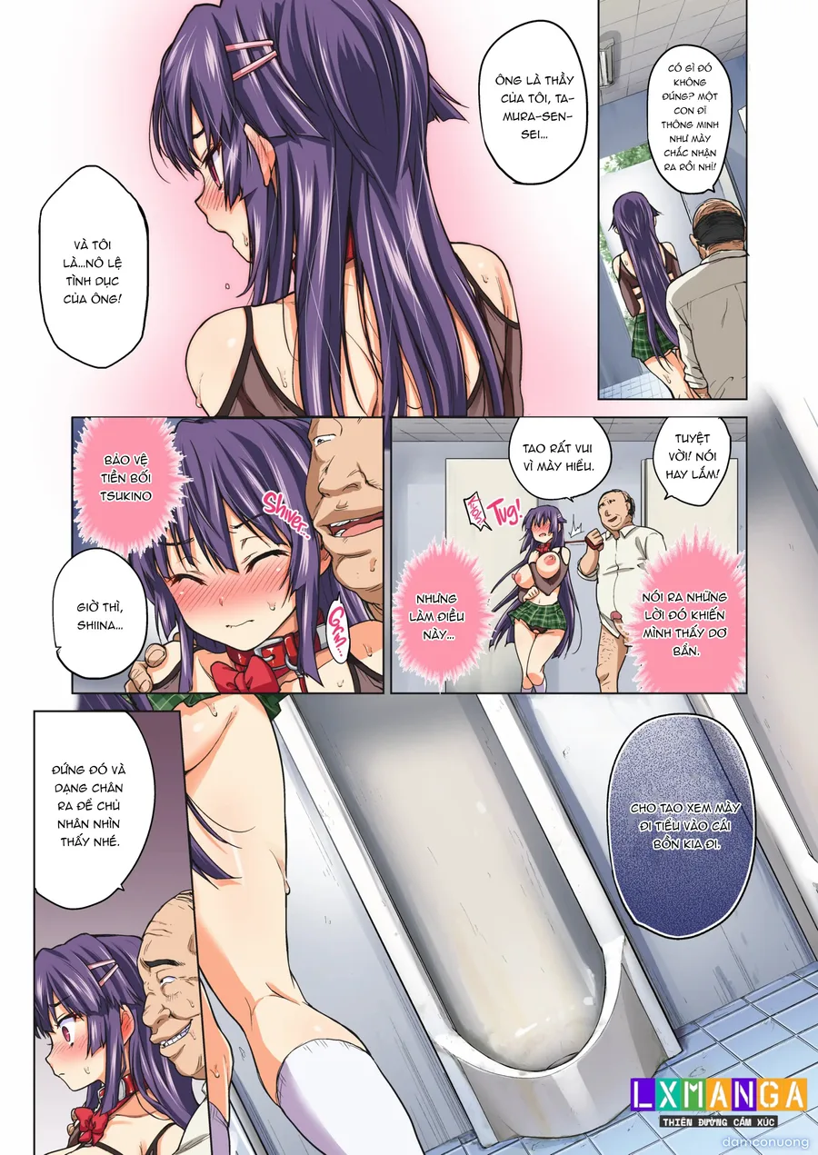 Chizuru-chan Kaihatsu Nikki Kouhen ~Ochita Moto Junjou Yuutousei wa, Chuunen Kyoushi no Mesuinu Onaho~ 