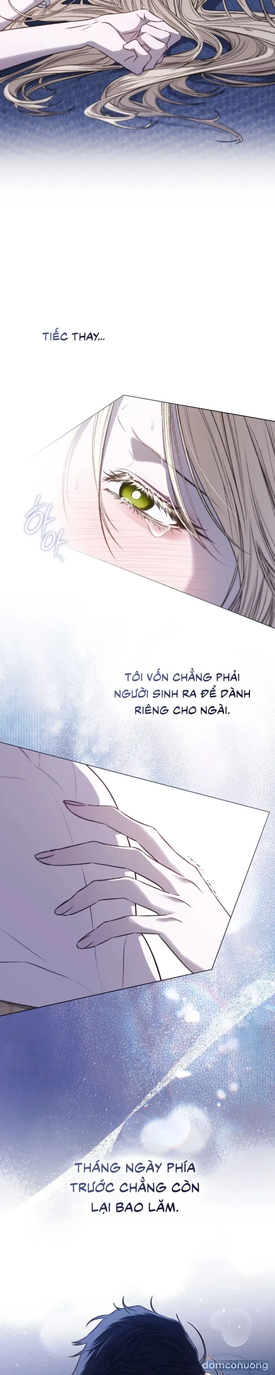 Chân Dung Kẻ Kiêu Ngạo 