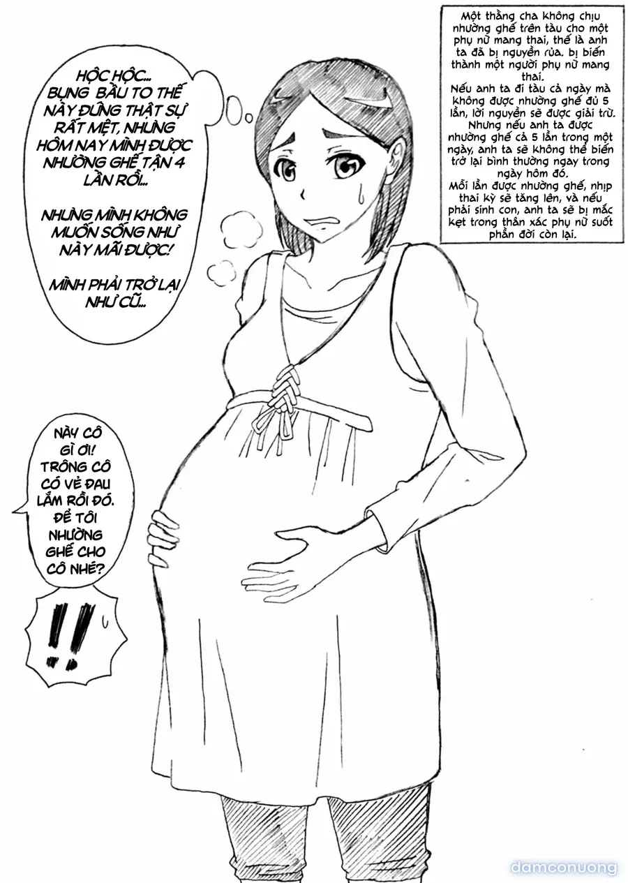 Lời Nguyền Bà Bầu 