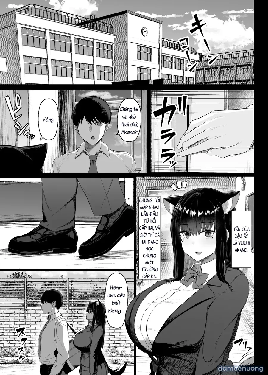 Hatsujouki dakara shikatanai 
