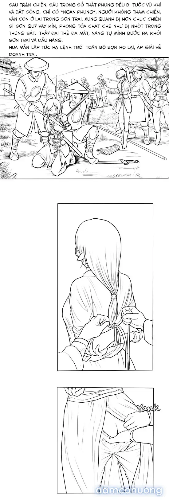 Fallen Flowers 