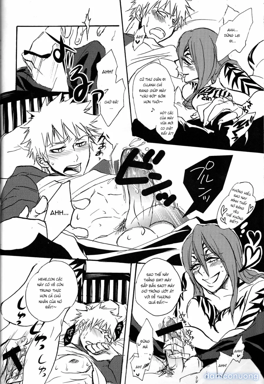 Chỉ đàn ông mới mang lại hạnh phúc cho nhau!(Ichigo x renji) 