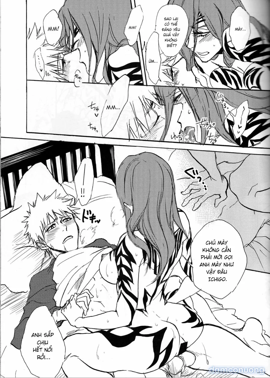 Chỉ đàn ông mới mang lại hạnh phúc cho nhau!(Ichigo x renji) 