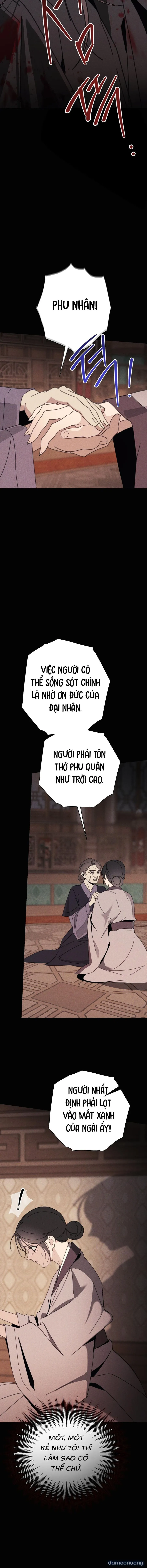 Người Vợ Hợp Pháp 