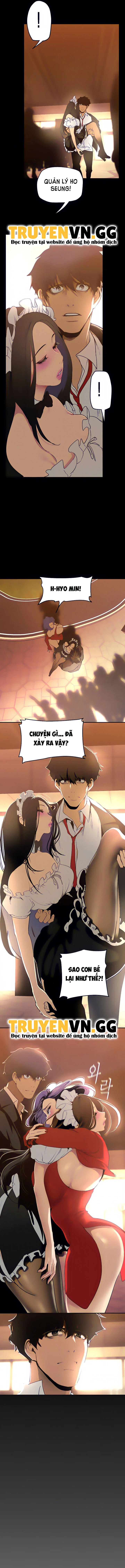 Tân Thế Giới Tuyệt Vời 