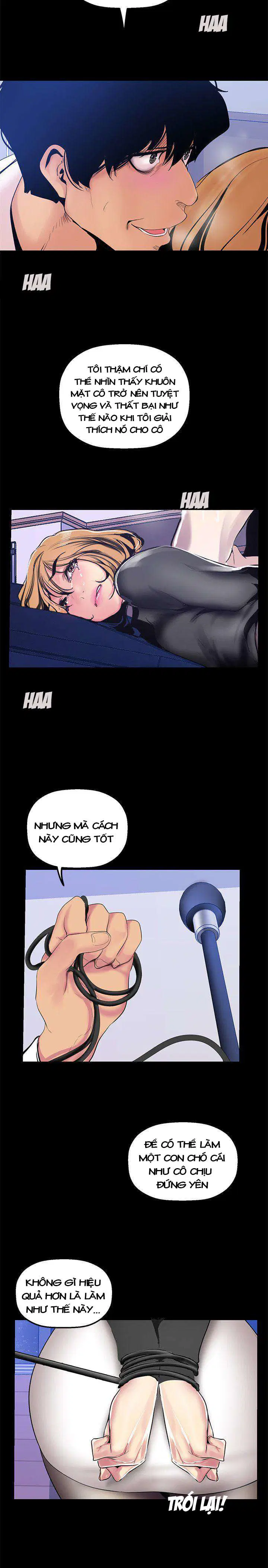Tân Thế Giới Tuyệt Vời 