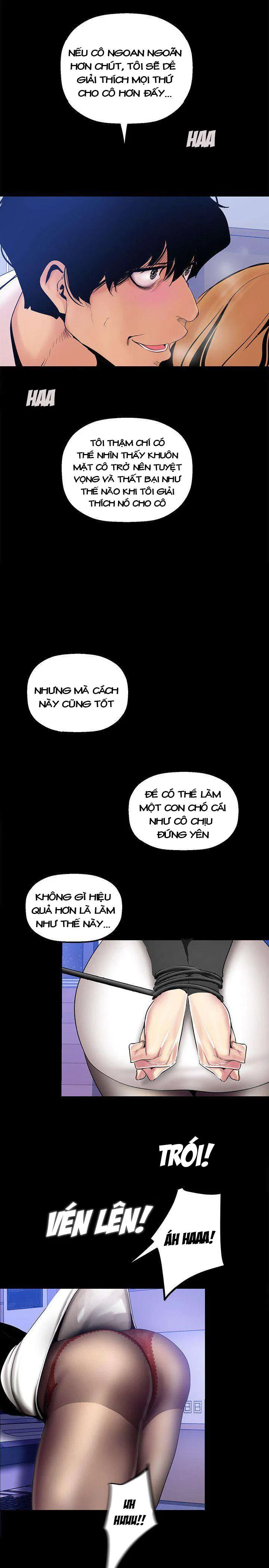 Tân Thế Giới Tuyệt Vời 