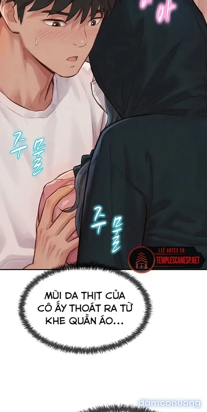 Harem tư bản 