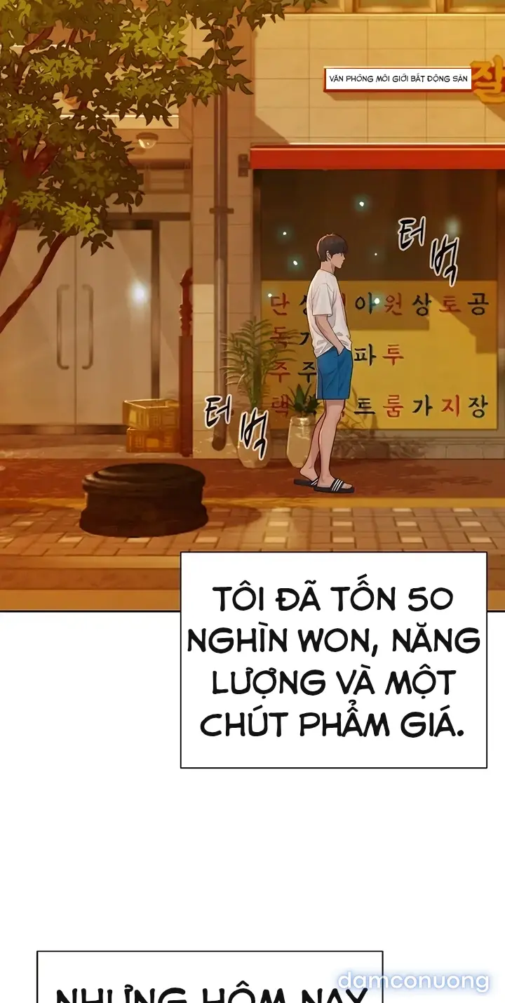 Harem tư bản 