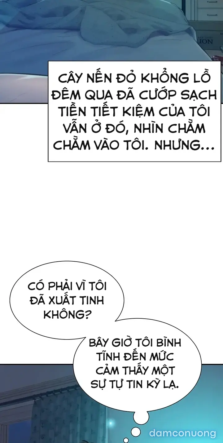 Harem tư bản 