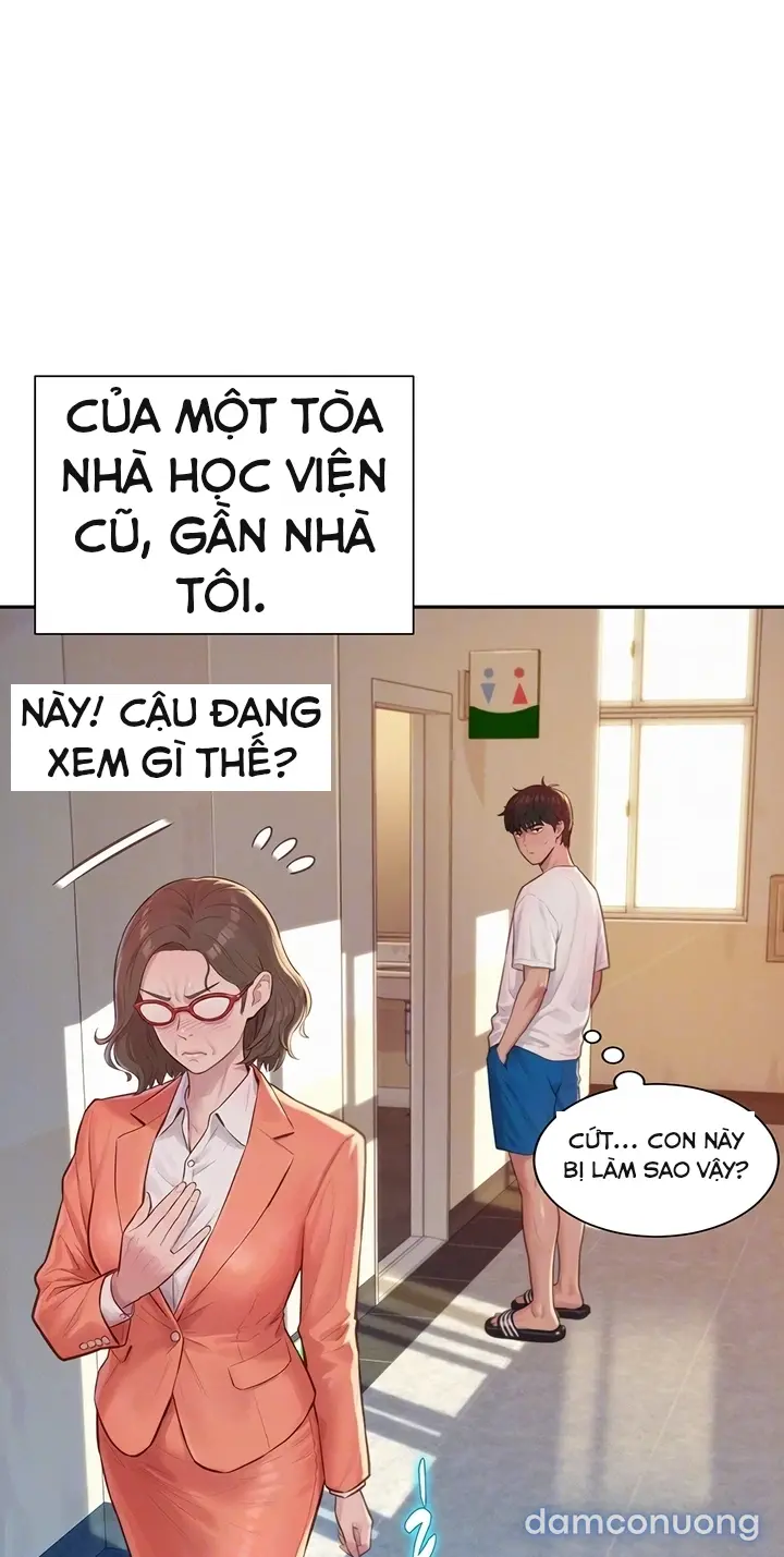 Harem tư bản 