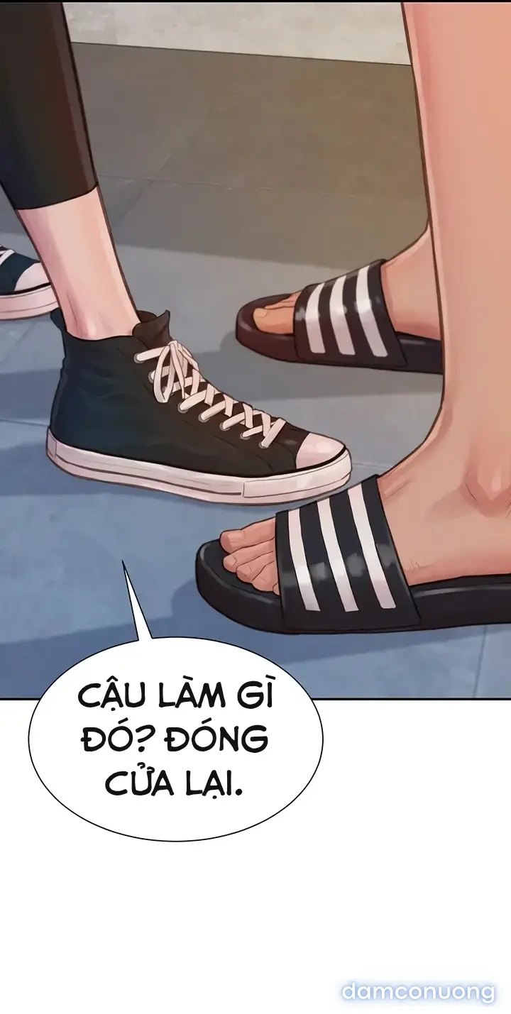 Harem tư bản 