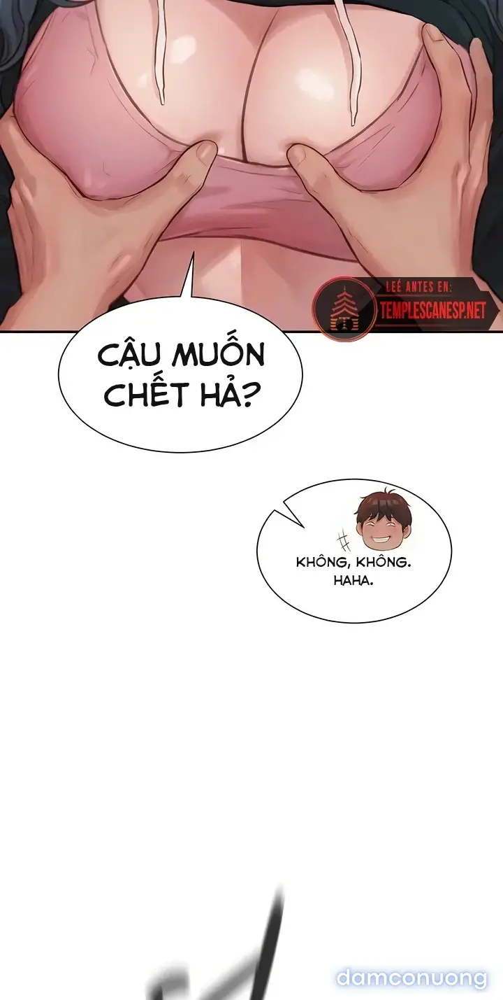 Harem tư bản 