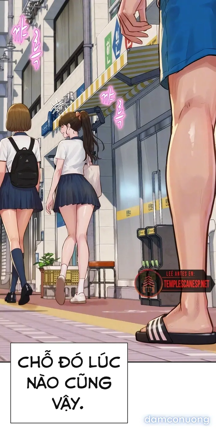 Harem tư bản 