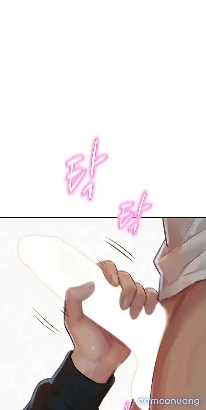 Harem tư bản 