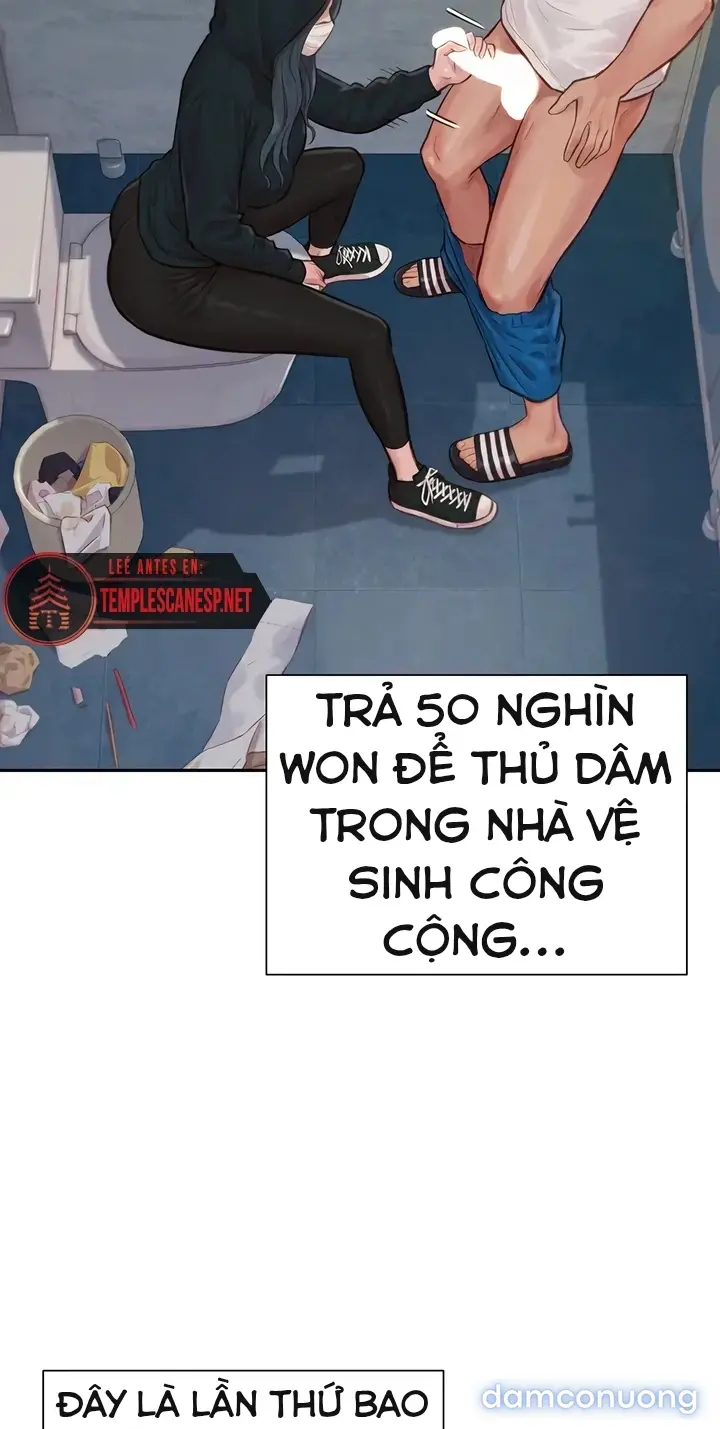 Harem tư bản 
