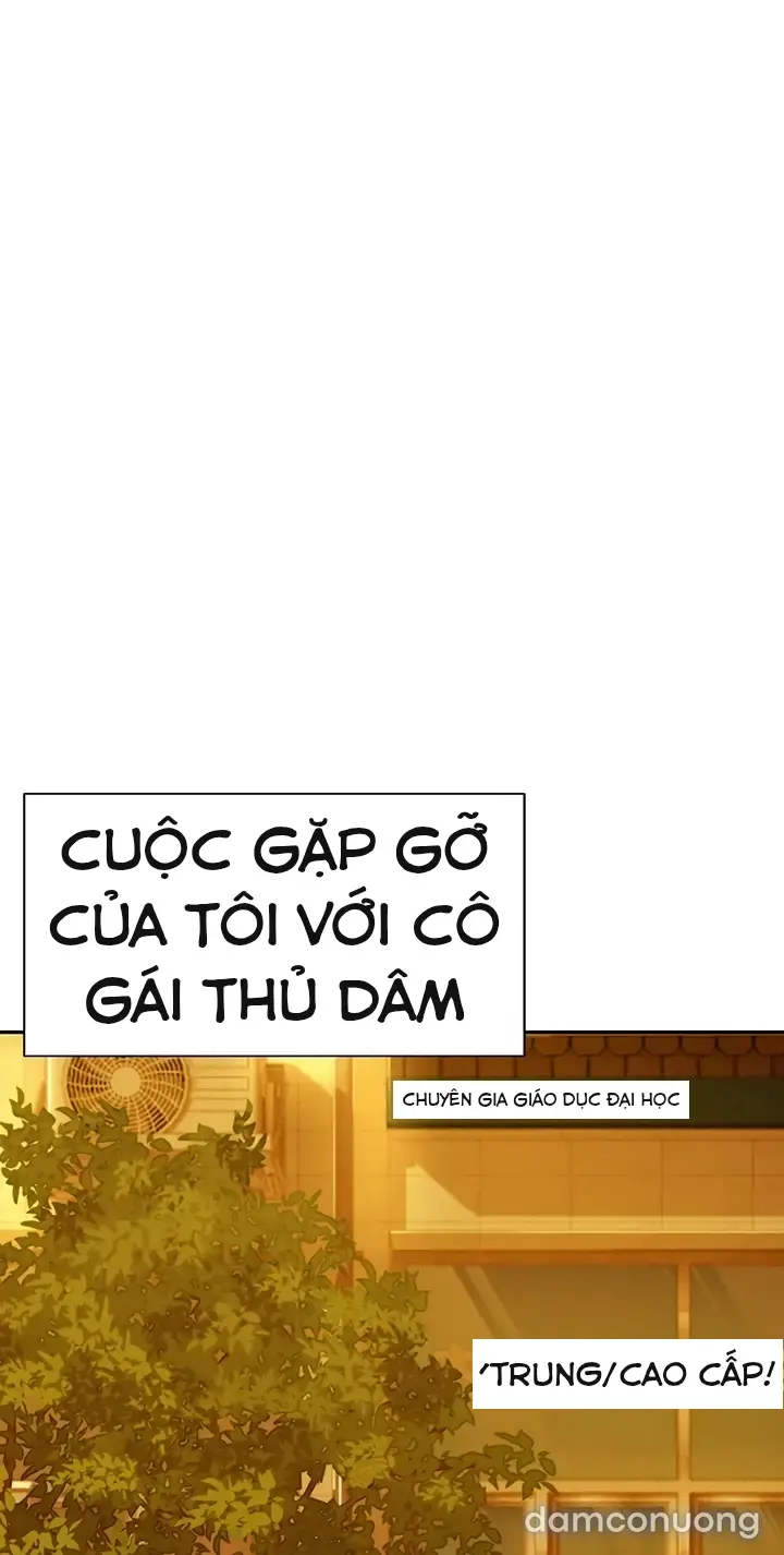 Harem tư bản 
