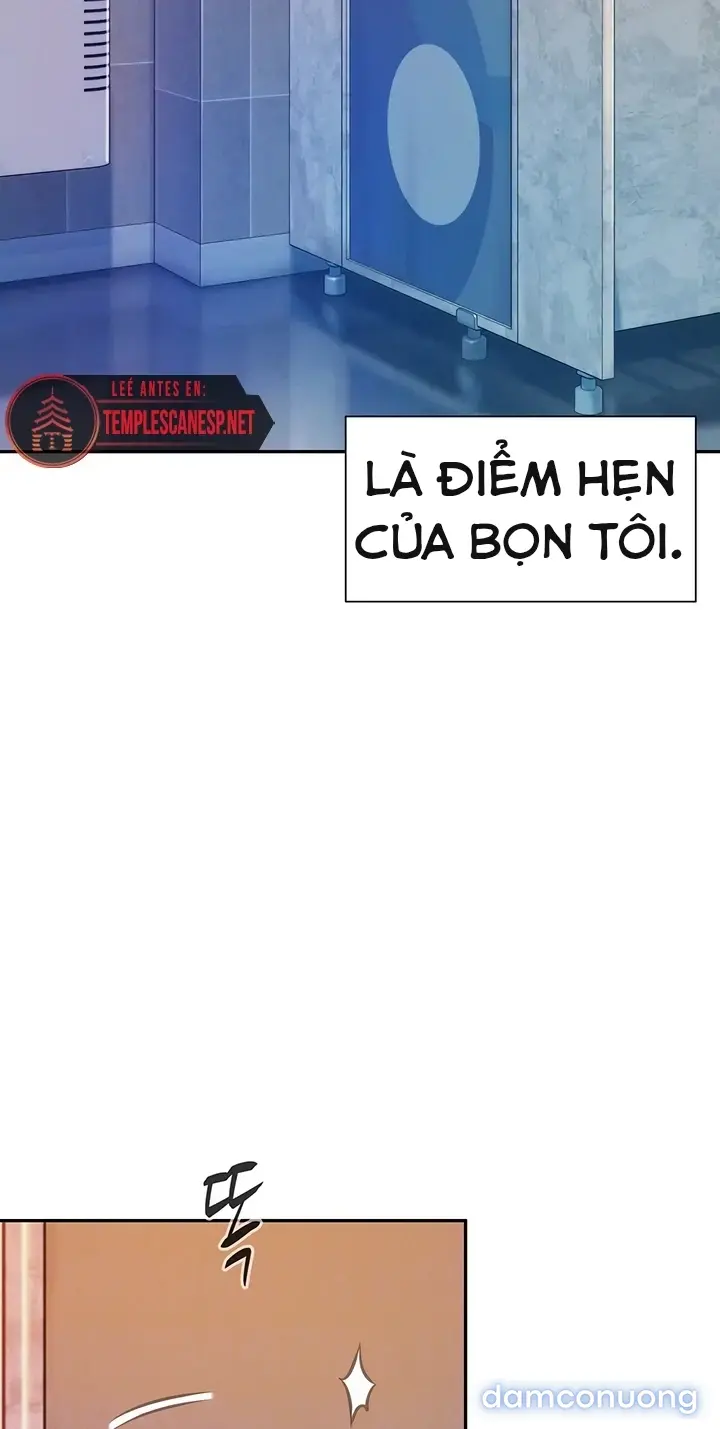Harem tư bản 