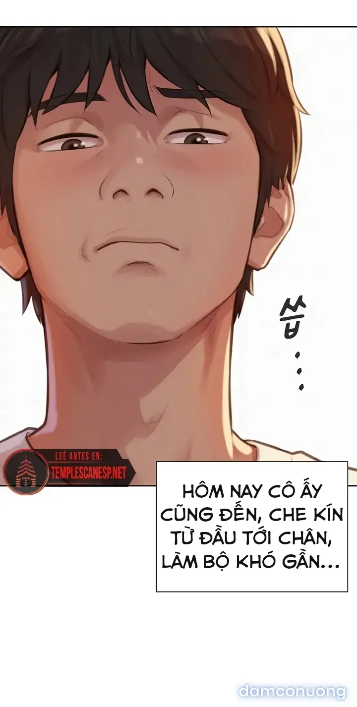 Harem tư bản 