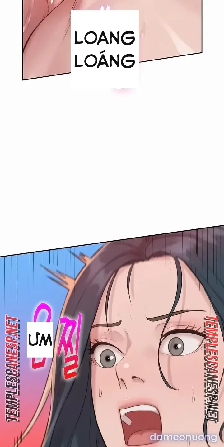 Harem tư bản 
