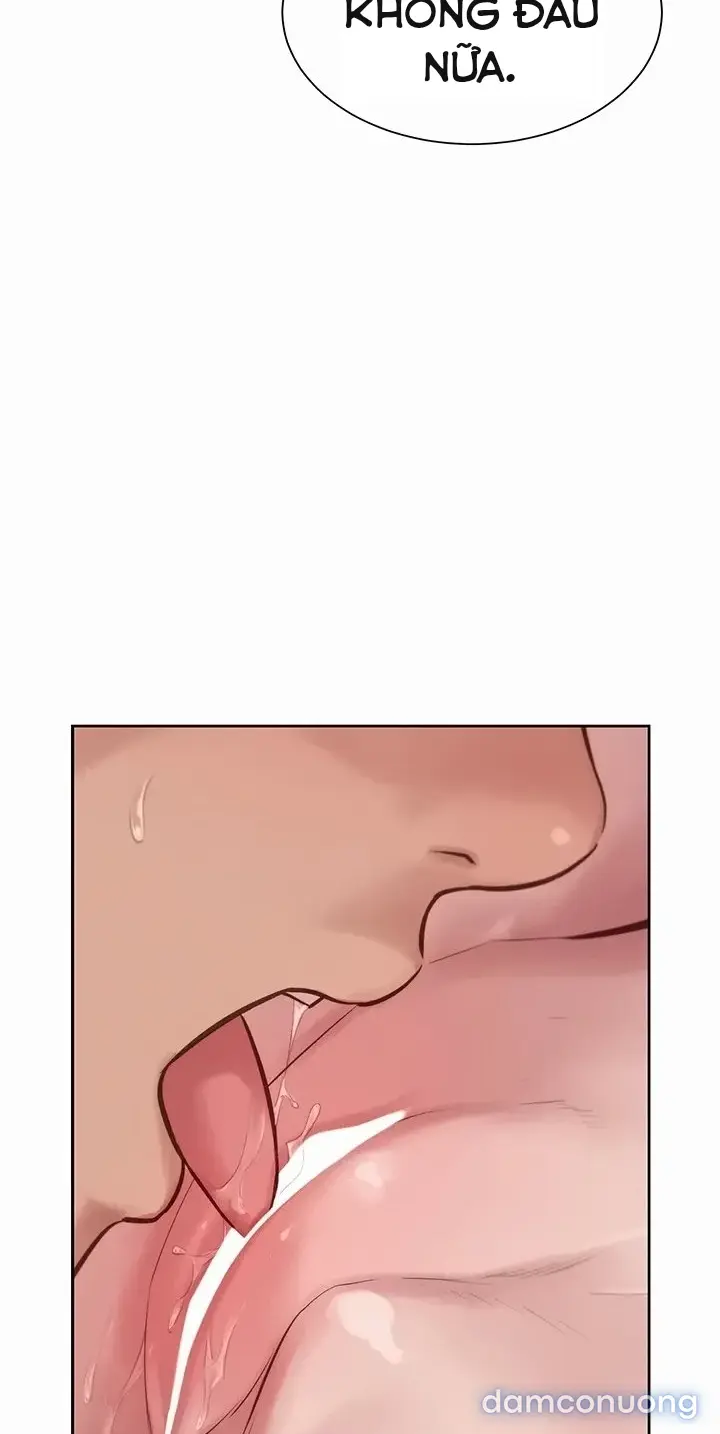 Harem tư bản 
