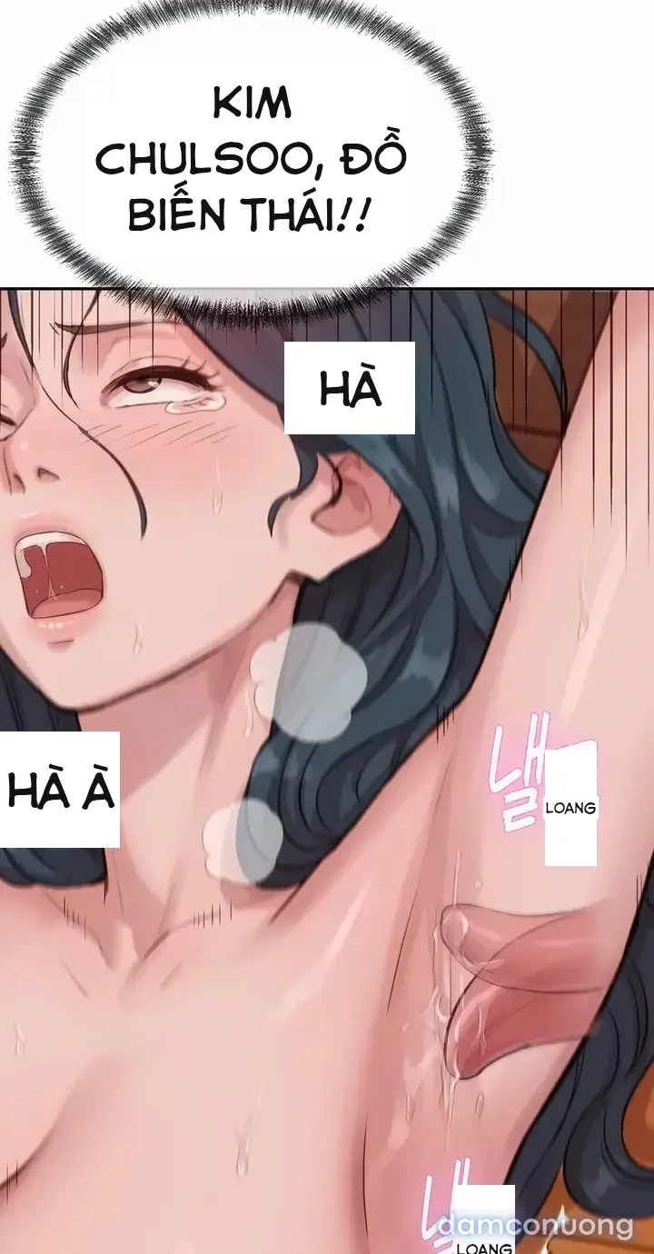 Harem tư bản 