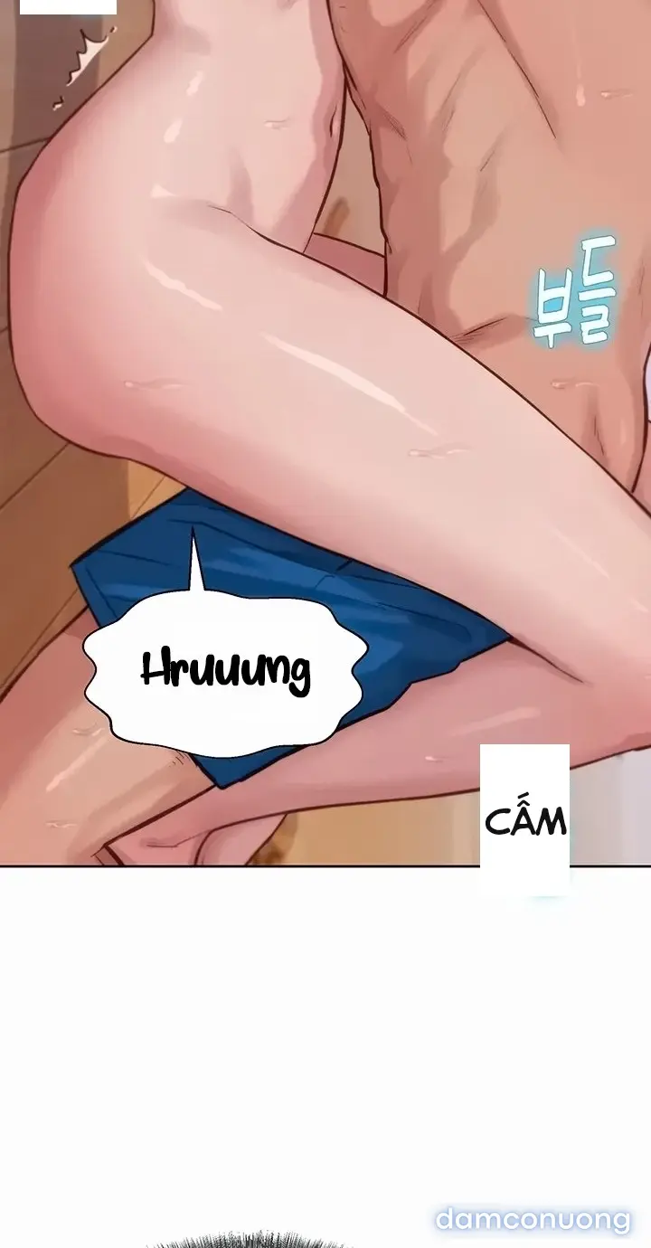 Harem tư bản 