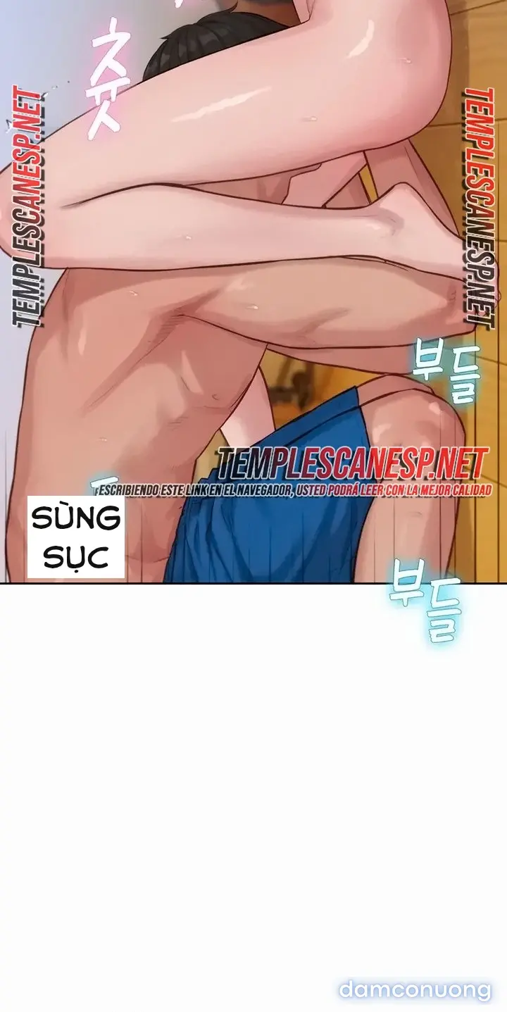 Harem tư bản 