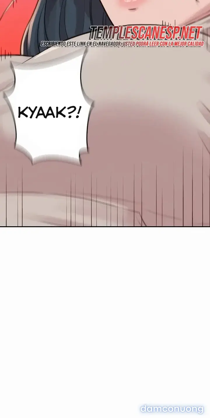 Harem tư bản 