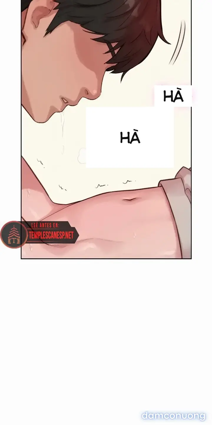 Harem tư bản 