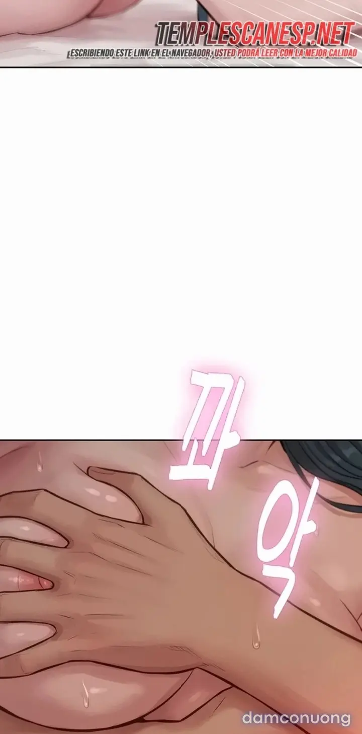 Harem tư bản 