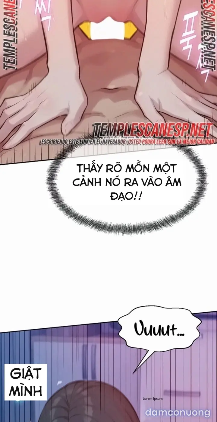 Harem tư bản 