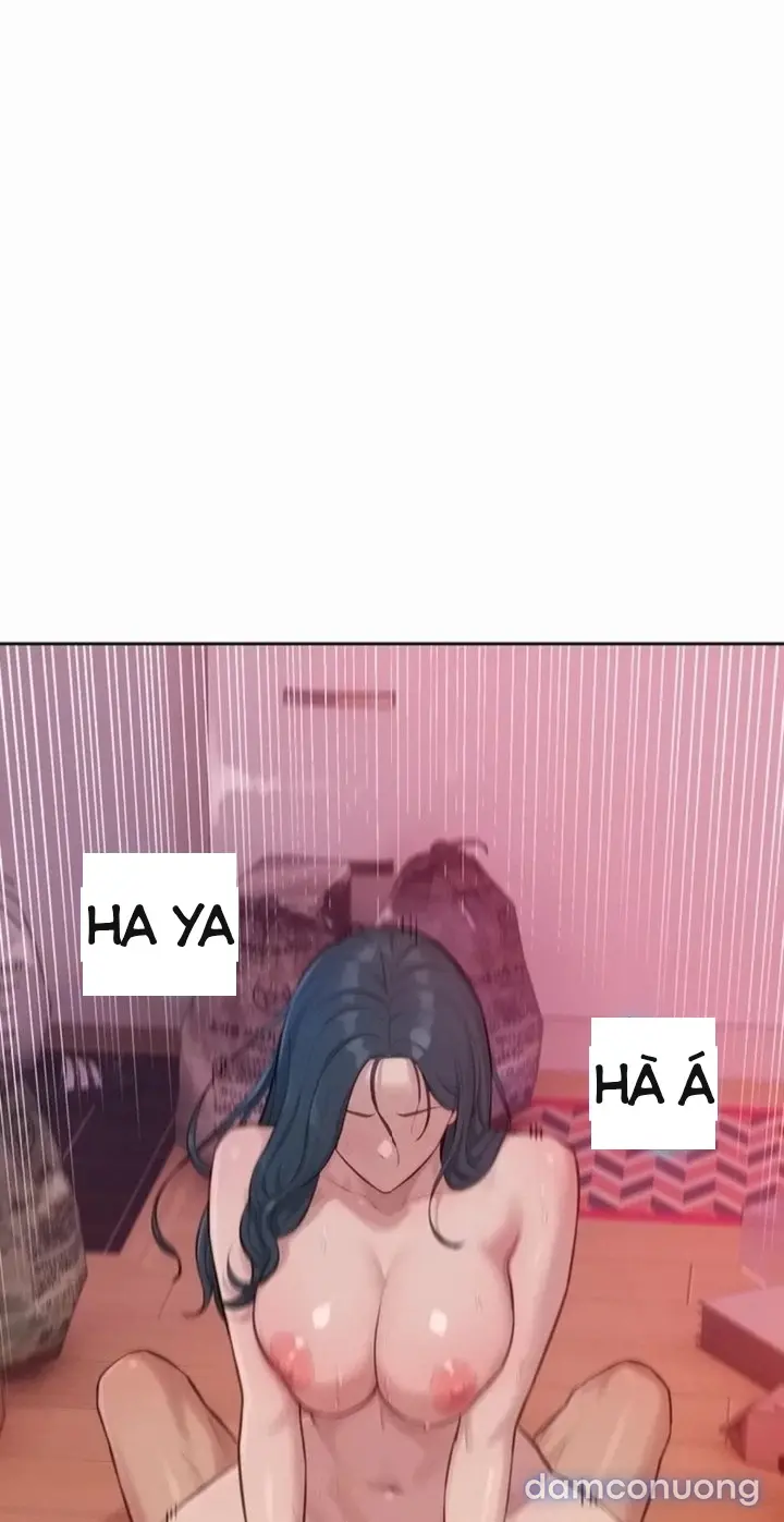 Harem tư bản 