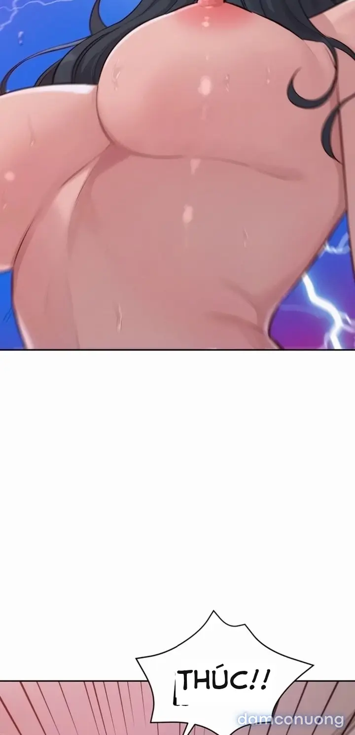 Harem tư bản 