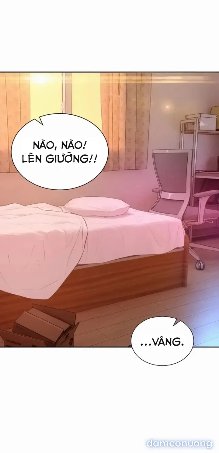 Harem tư bản 