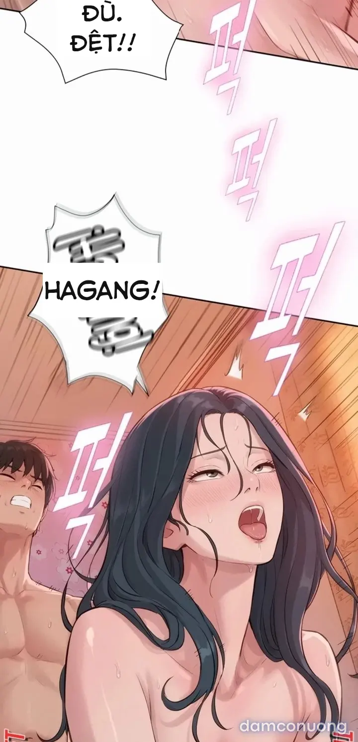 Harem tư bản 