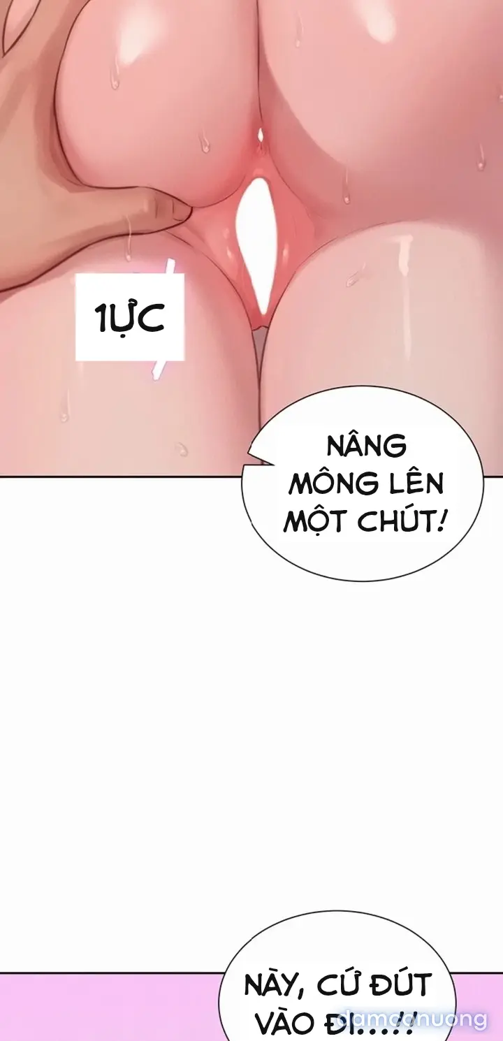 Harem tư bản 