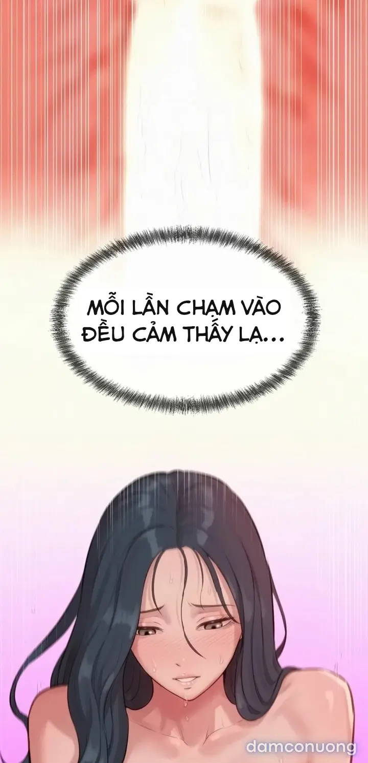 Harem tư bản 