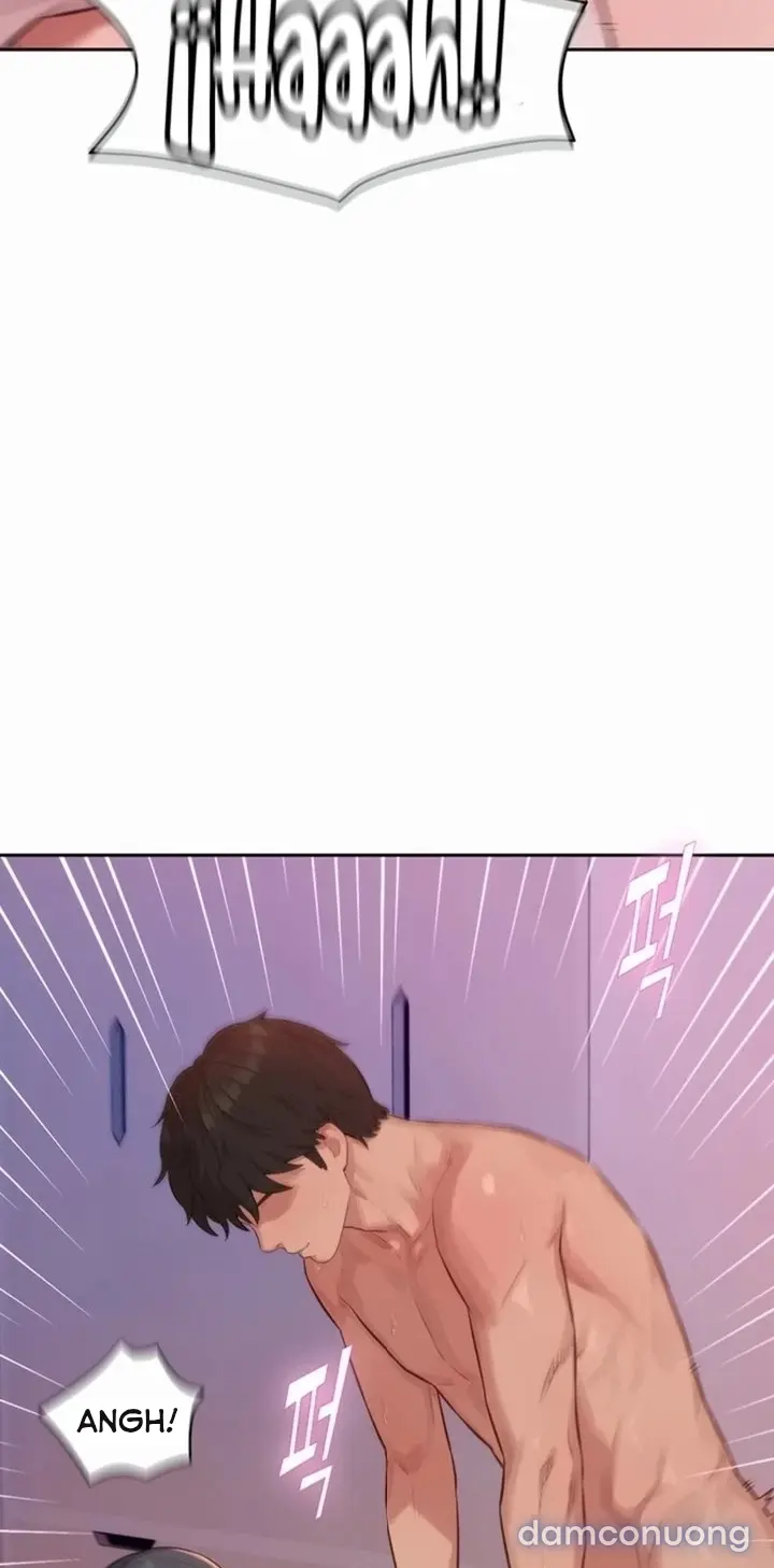 Harem tư bản 