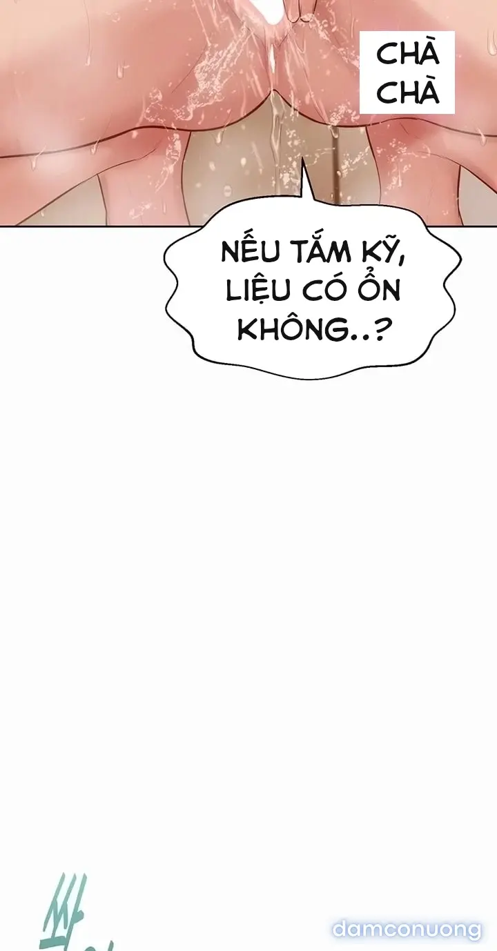 Harem tư bản 
