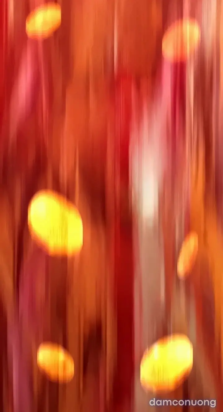 Harem tư bản 