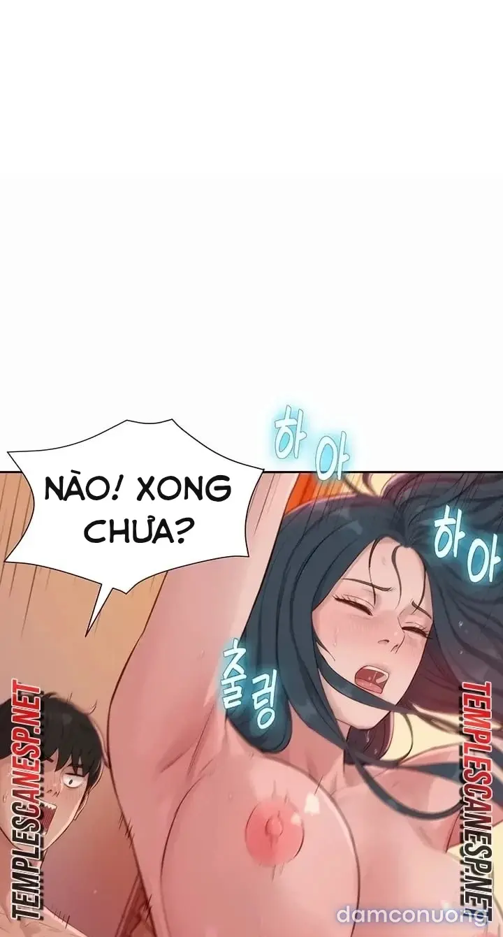 Harem tư bản 