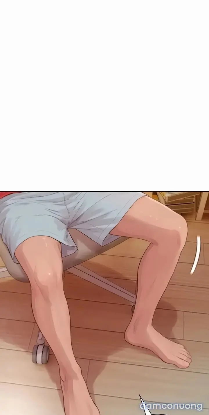 Harem tư bản 