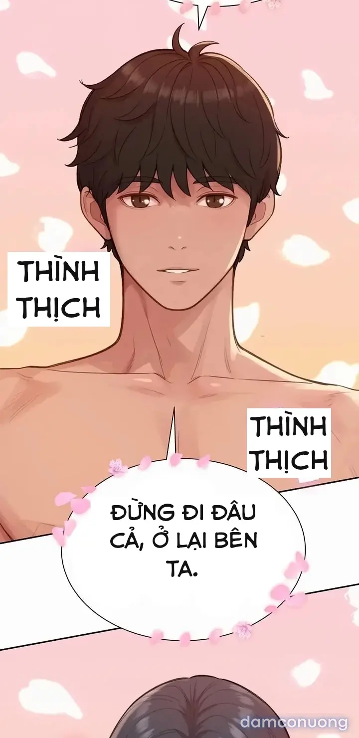 Harem tư bản 