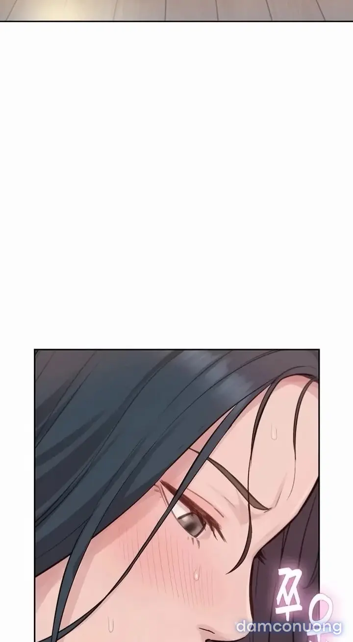 Harem tư bản 